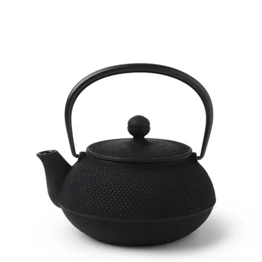 Cast Iron Teapot Black Hobnail 0.65L^MIYA Company Fashion