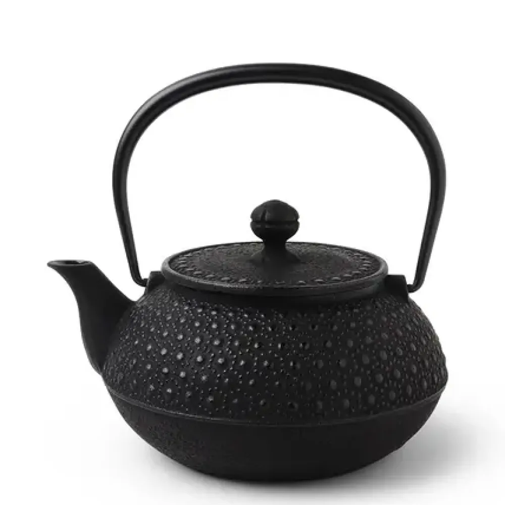 Cast Iron Teapot Black Honeycomb 0.9L^MIYA Company Sale