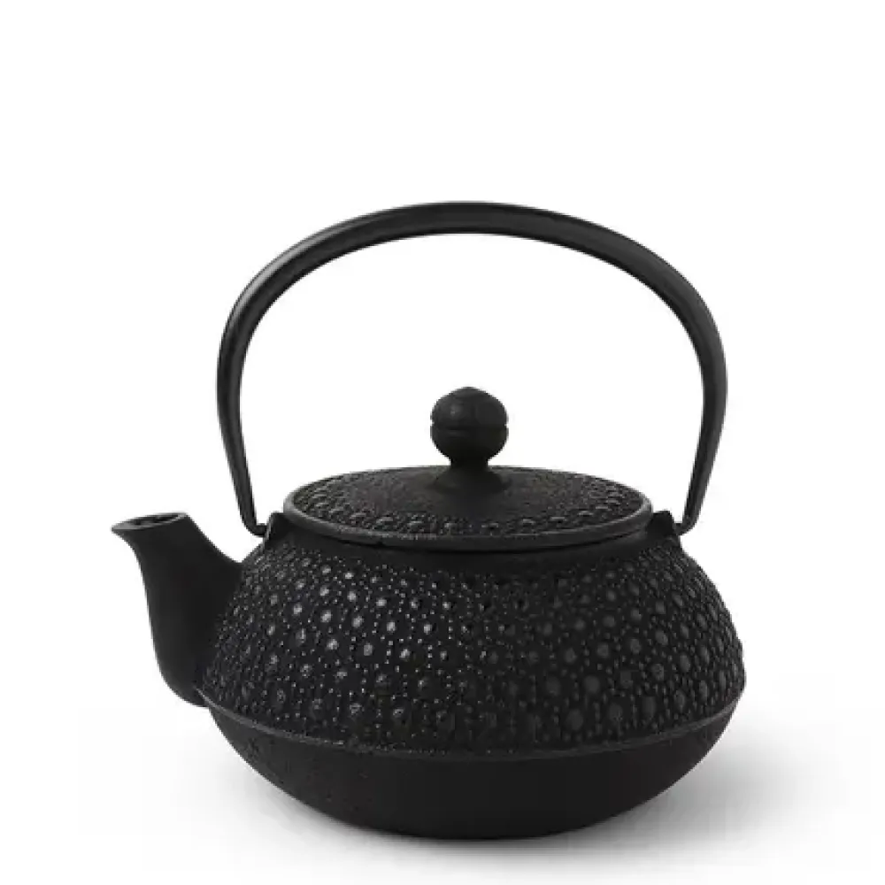 Cast Iron Teapot Black Honeycomb 0.65L^MIYA Company Store