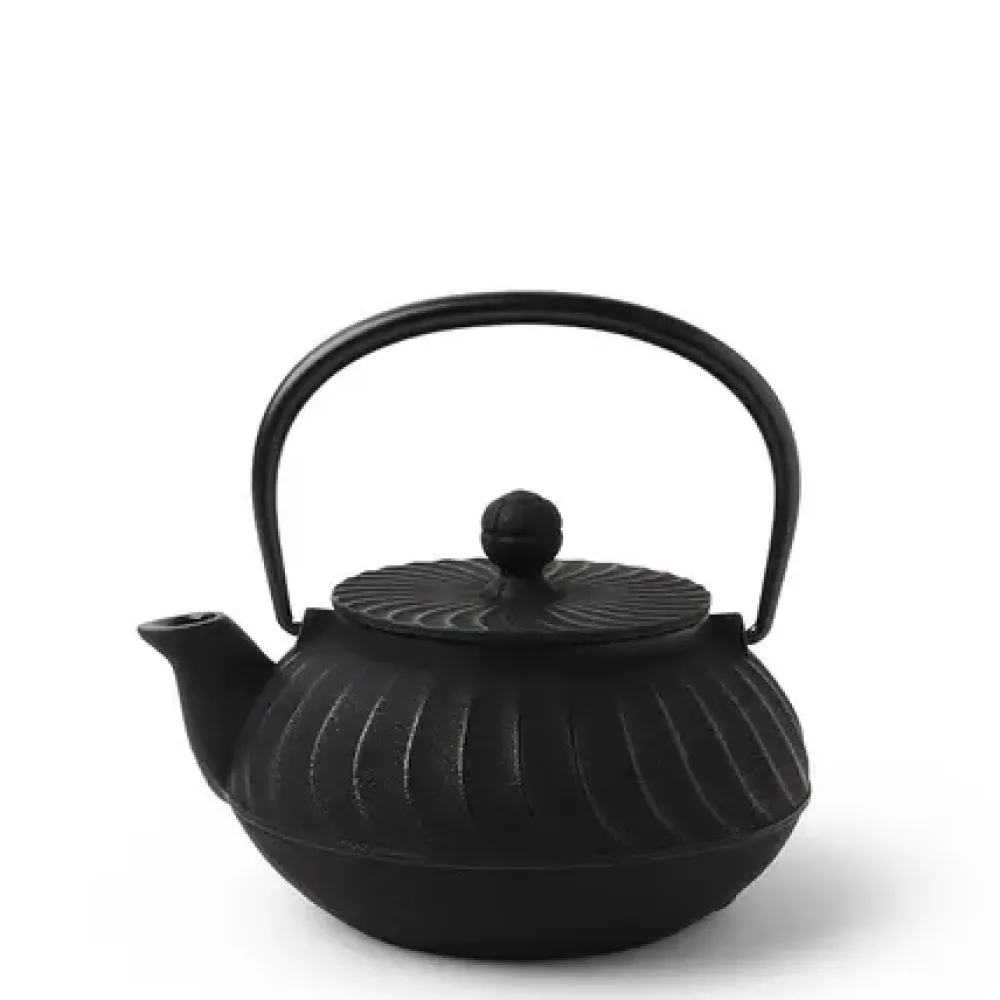 Cast Iron Teapot Black Wave 0.65L^MIYA Company Cheap