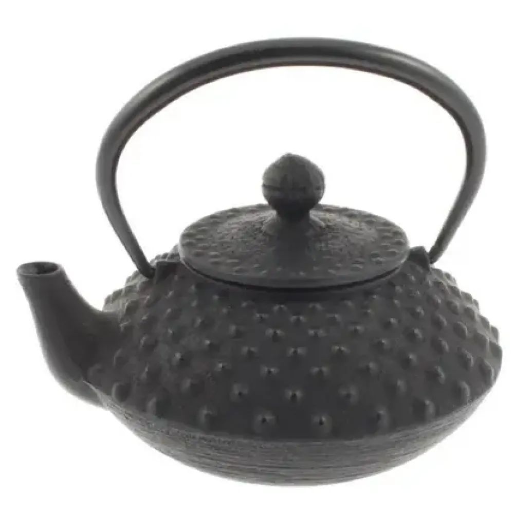 Cast Iron Teapot Flat Hailstone 0.35L^MIYA Company Online