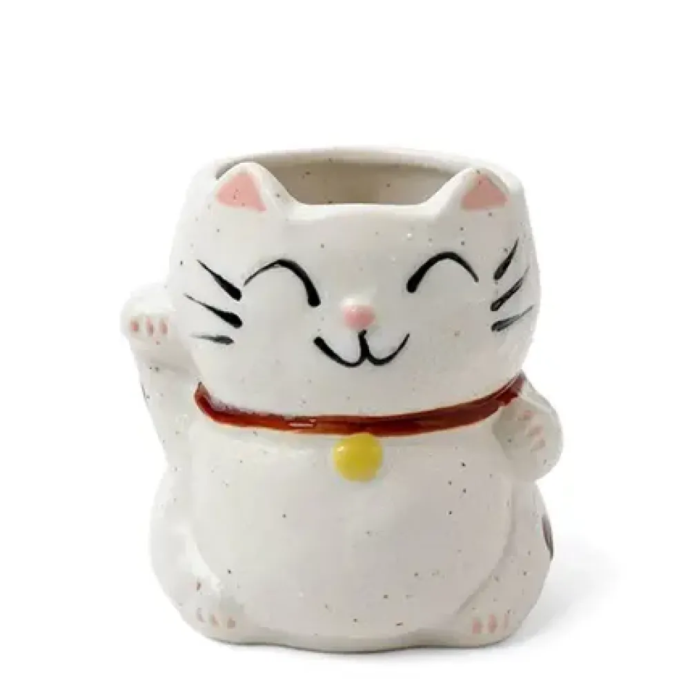 Mug Cat White With Spots^MIYA Company Discount