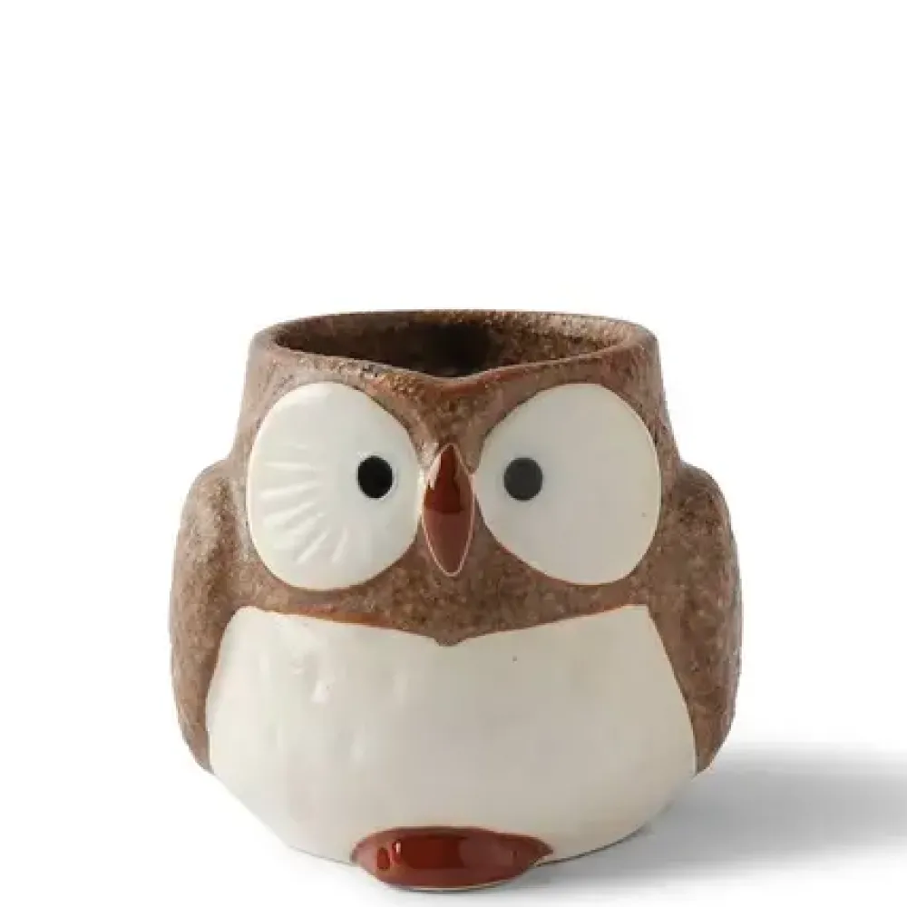 Mug Owl Brown 11 Oz.^MIYA Company Shop