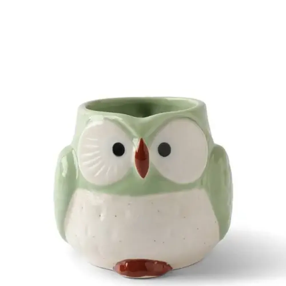 Mug Owl Green^MIYA Company Store