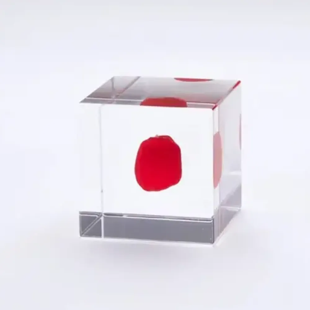 Sola Cube Huayruro Seed^MIYA Company Hot