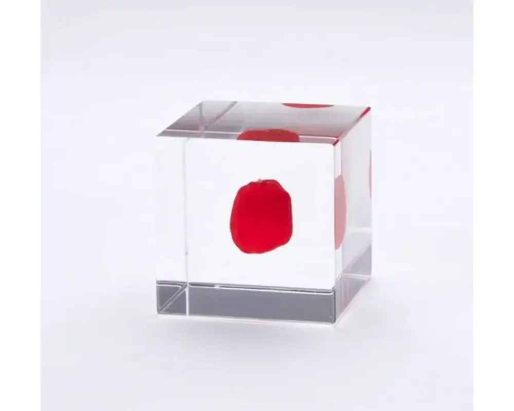 Sola Cube Huayruro Seed^MIYA Company Hot